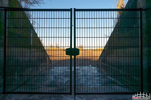 DSM -DOPPELSTABMATTENZAUN